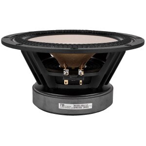Main product image for Tang Band W8-2145 8" Paper Cone Full Range Driv 264-960